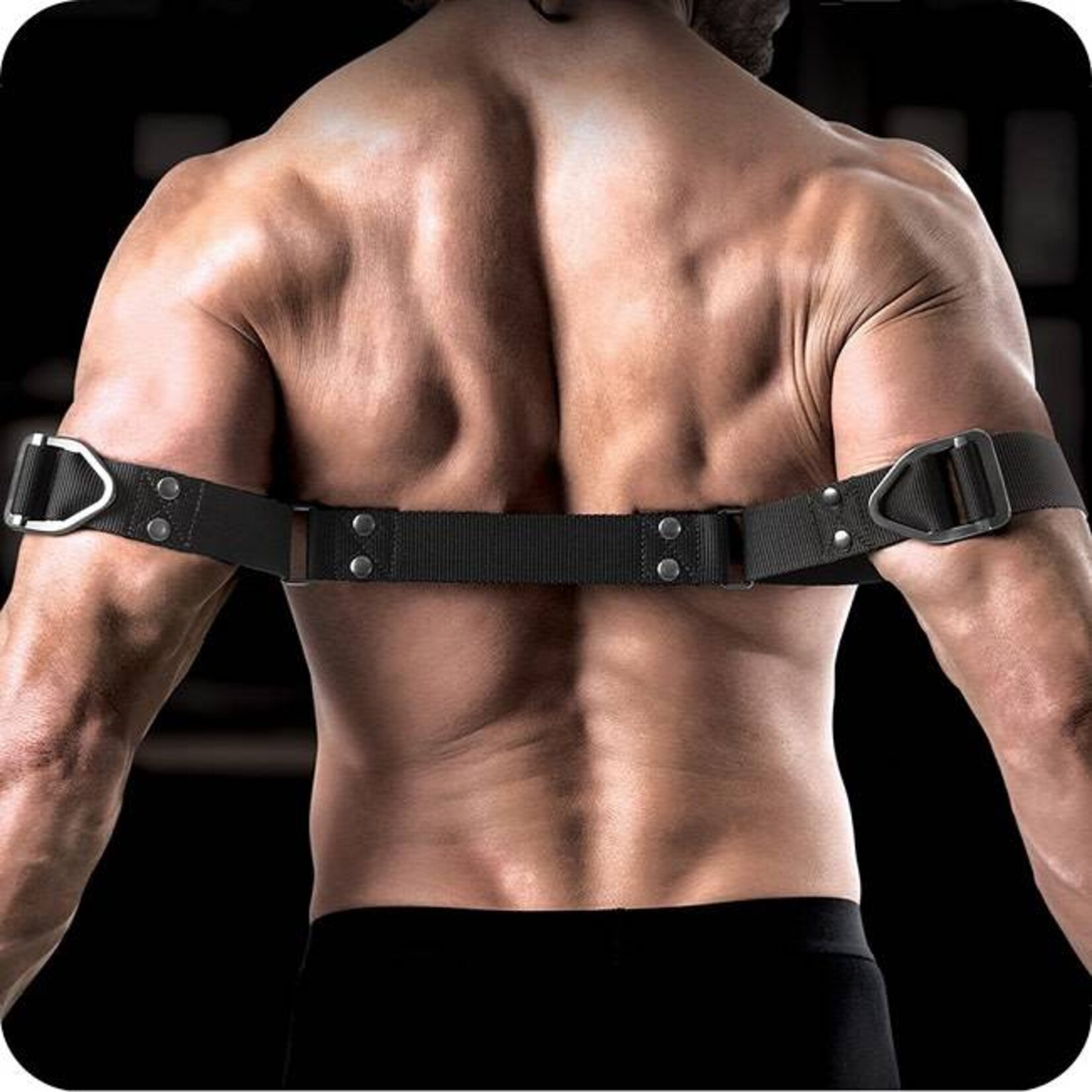 Sir Richard's Command by Sir Richard's Bicep Binder
