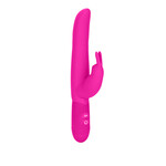CalExotics Bounding Bunny