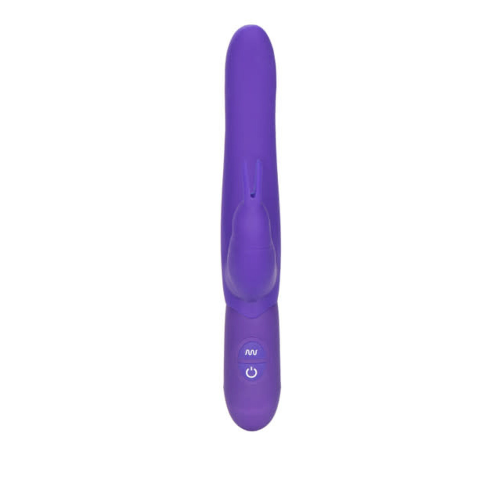 CalExotics Bounding Bunny