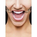 Shots America Ouch! Hook Gag