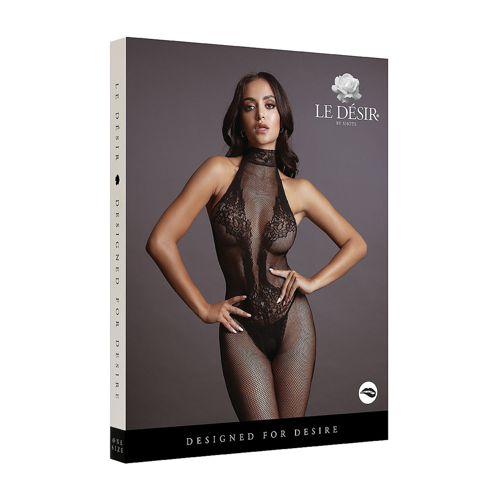 Le Désir Fishnet and Lace Bodystocking