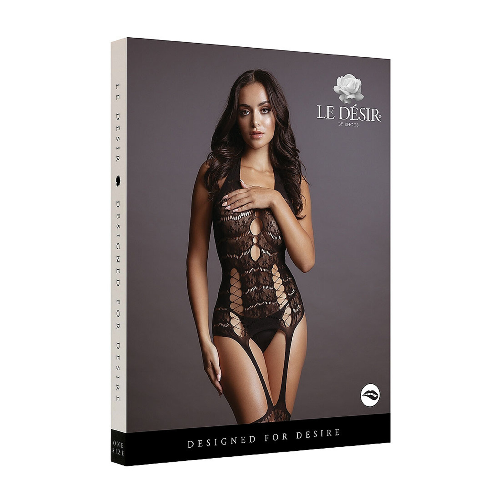 Le Désir Black Lace Suspender Bodystocking