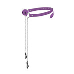Shots America Ouch! Ball Gag with Nipple Clamps