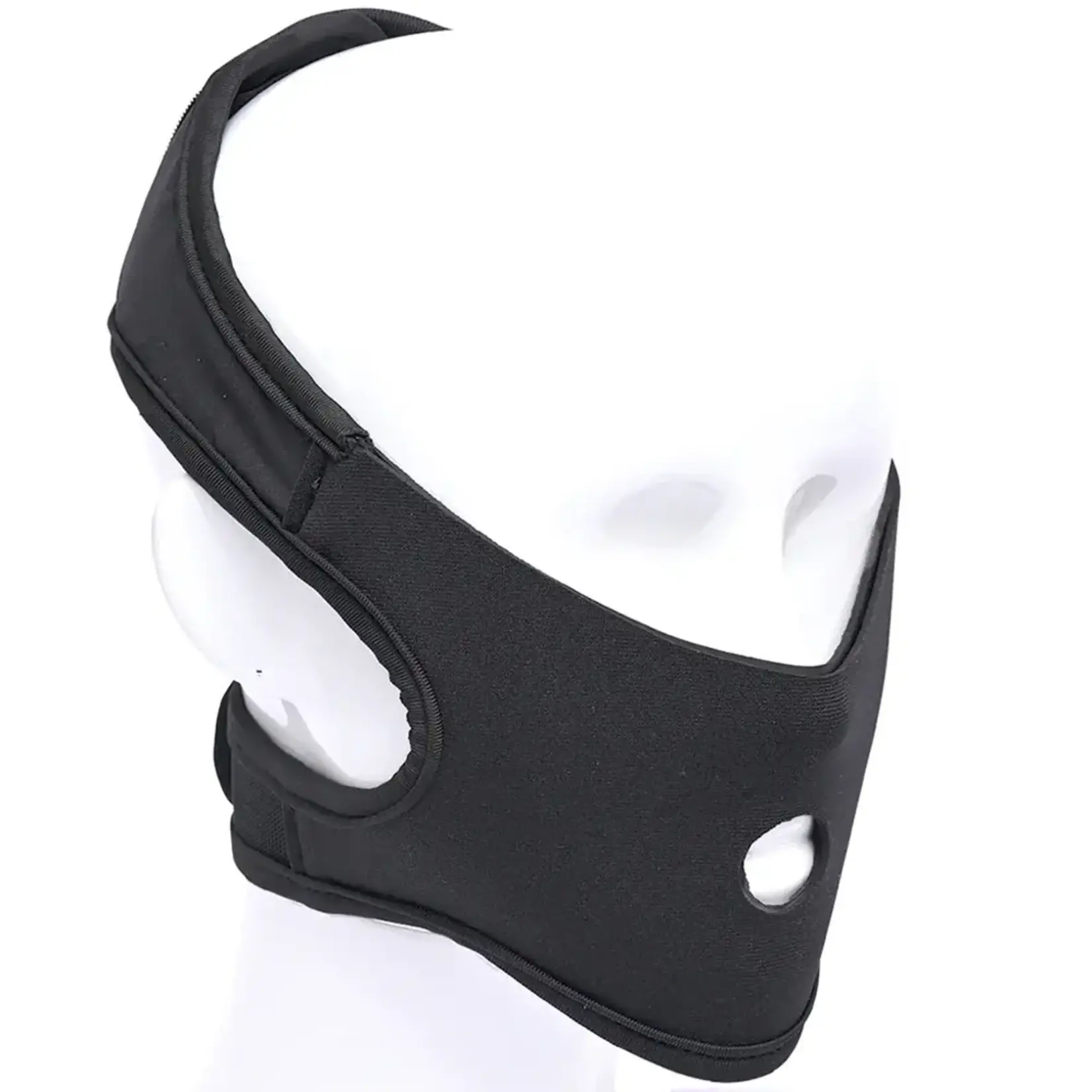 Sportsheets Sportsheets Pivot In Your Face Strap-On