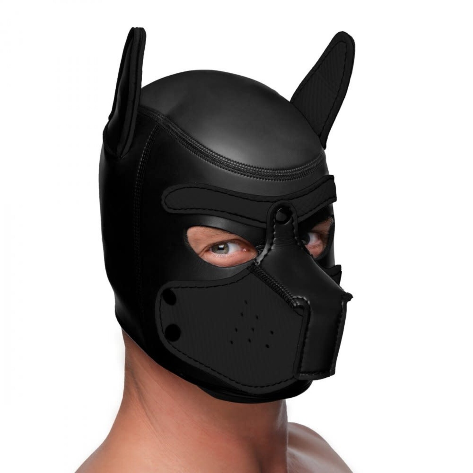 Master Series Master Series Spike Neoprene Puppy Hood