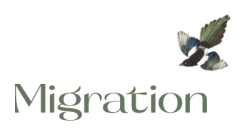 Migration Boutique