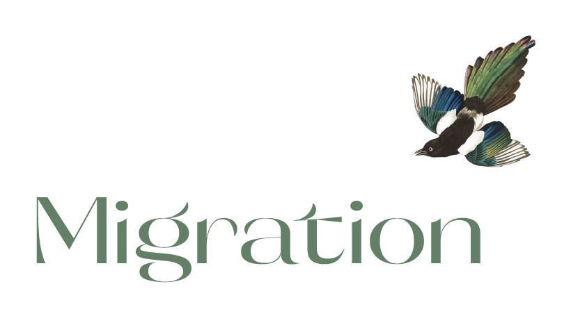 Migration Boutique
