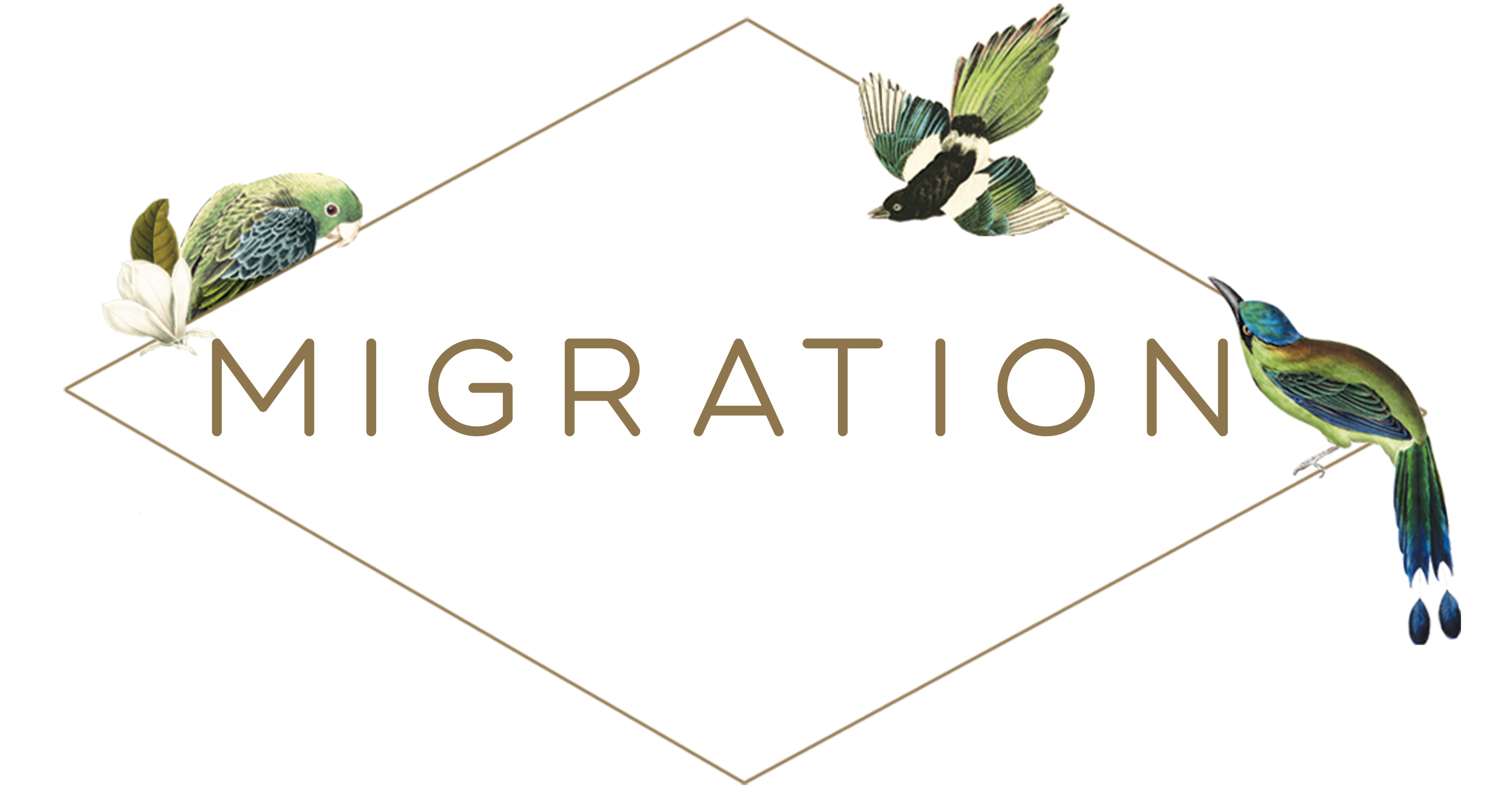 Migration Boutique