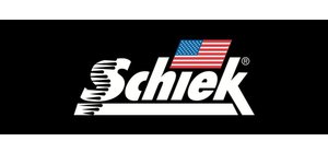 Schiek