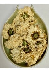 Botanical Botanical Organic Chrysanthemum Flower