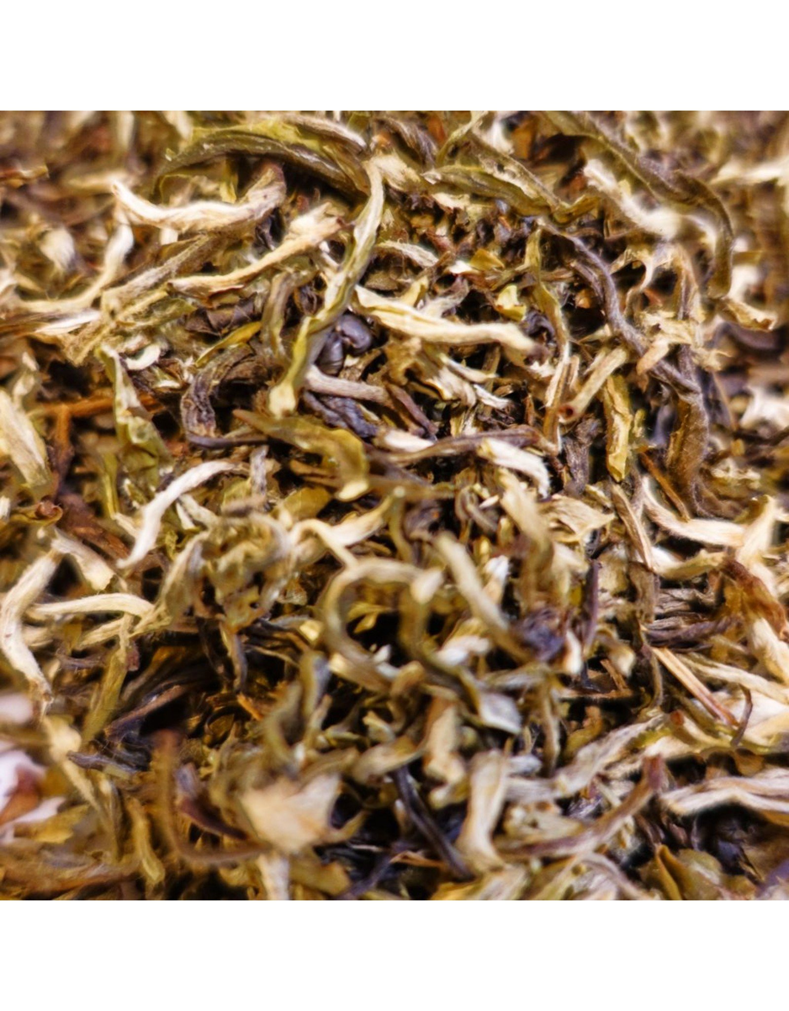 Tea from China Devil’s Bridge Green Jasmine Blend