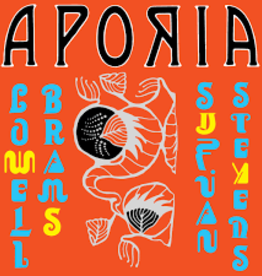 (LP) Sufjan Stevens & Lowell Brams - Aporia