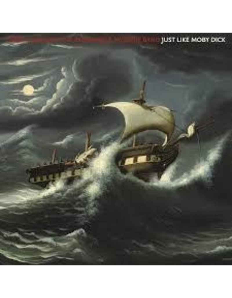(LP) Terry Allen & The Panhandle Mystery Band - Just Like Moby Dick (2LP)
