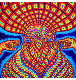 (CD) Dream Syndicate - The Universe Inside