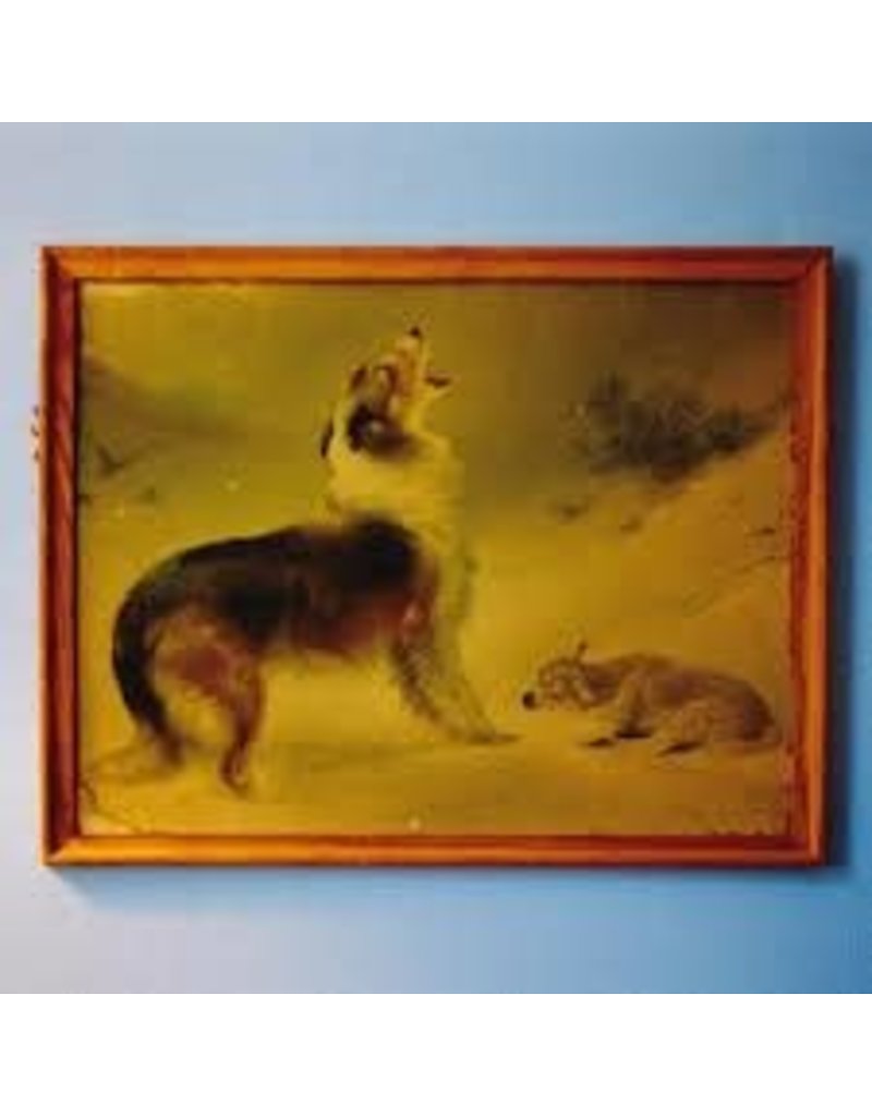 (LP) Explosions In the Sky - The Rescue (Black/2019 Anniversary Ed)
