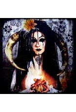 (LP) A Primitive Evolution - The Prize (2012)