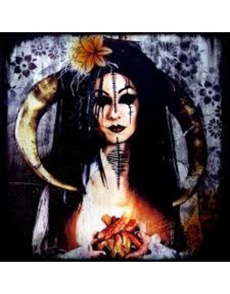 (LP) A Primitive Evolution - The Prize (2012)