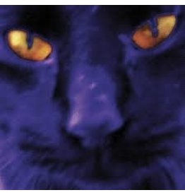 (CD) David Kilgour & the Heavy Eights - Bobbie's A Girl