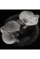 (CD) Mike Patton and Jean-Claude Vannier - Corpse Flower