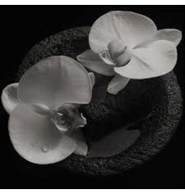 (CD) Mike Patton and Jean-Claude Vannier - Corpse Flower