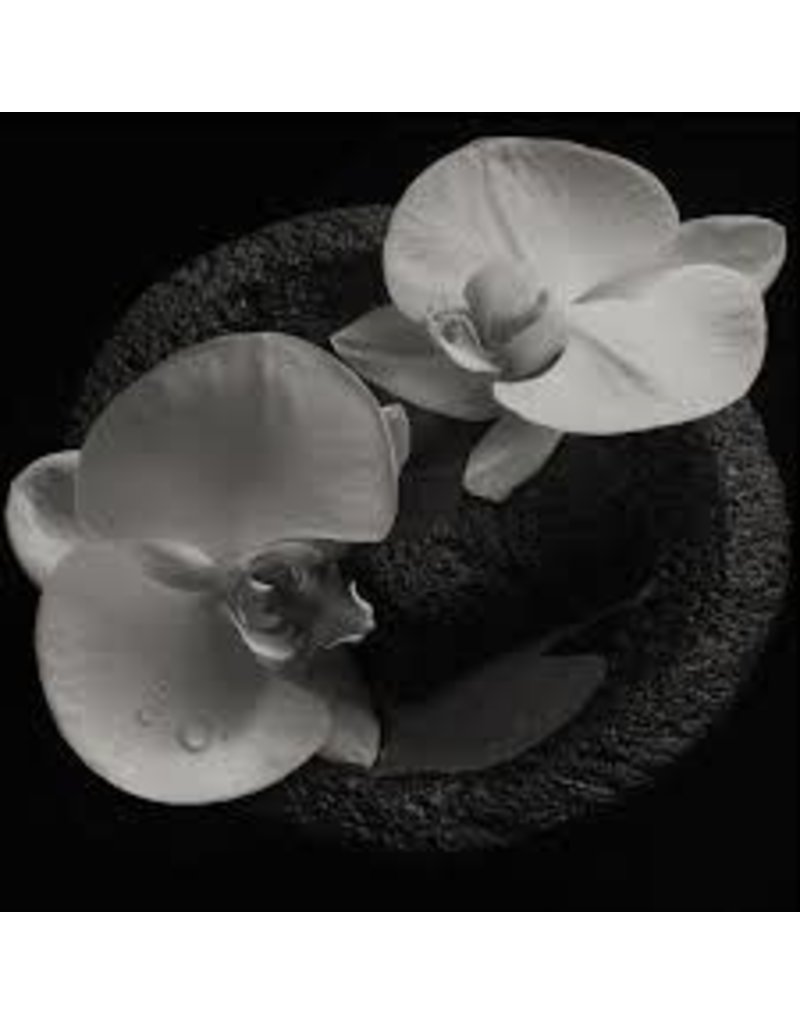 (CD) Mike Patton and Jean-Claude Vannier - Corpse Flower