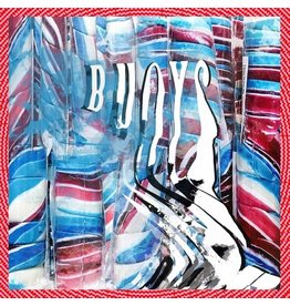 (CD) Panda Bear - Buoys