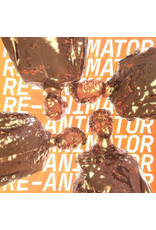 Fontana North (LP) Everything Everything - Re-Animator
