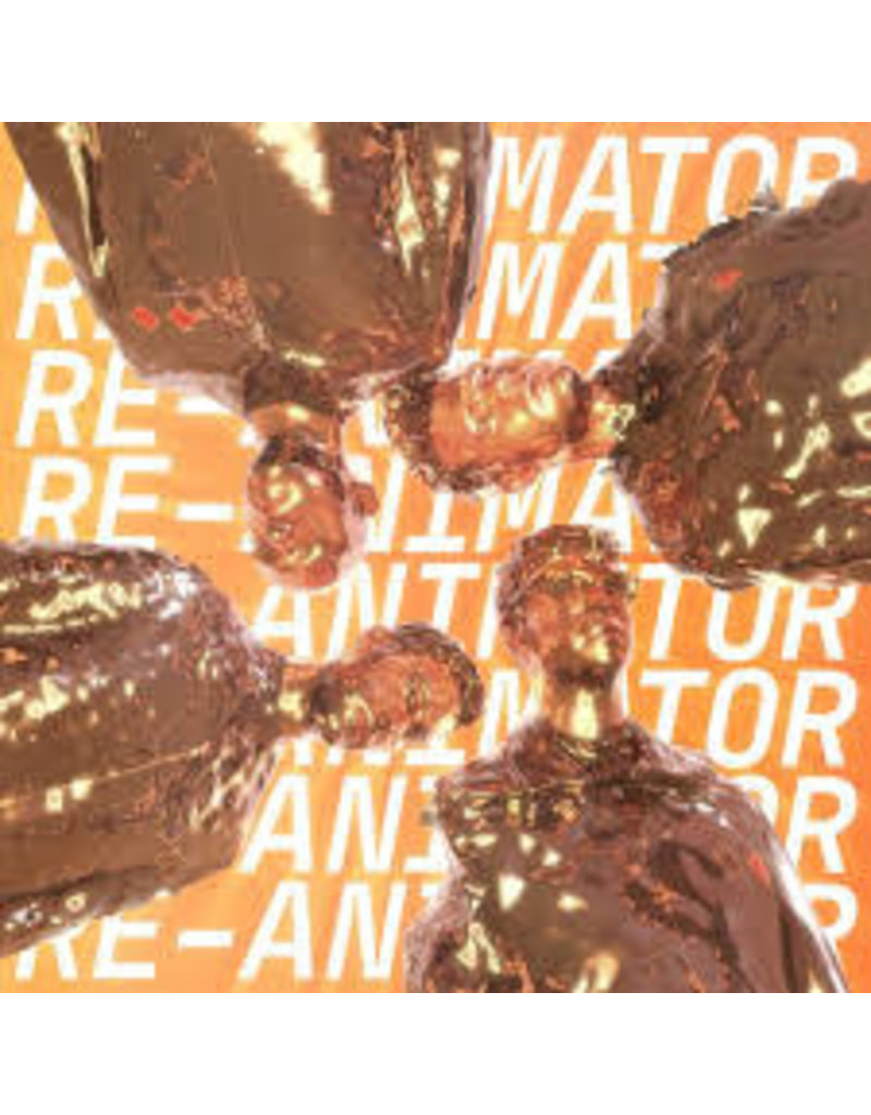 Fontana North (LP) Everything Everything - Re-Animator
