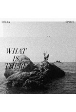 (LP) Delta Spirit - What Is There (CLEAR WITH BLACK MARBLING VINYL)