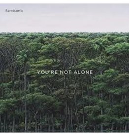 (LP) Semisonic - You're Not Alone