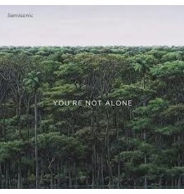 (LP) Semisonic - You're Not Alone**********DEEP DISCOUNT IN EFFECT!**********