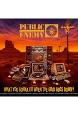 (CD) Public Enemy - What You Gonna Do When The Grid Goes Down