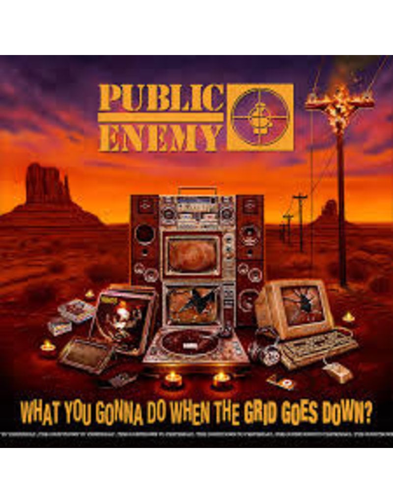 (CD) Public Enemy - What You Gonna Do When The Grid Goes Down
