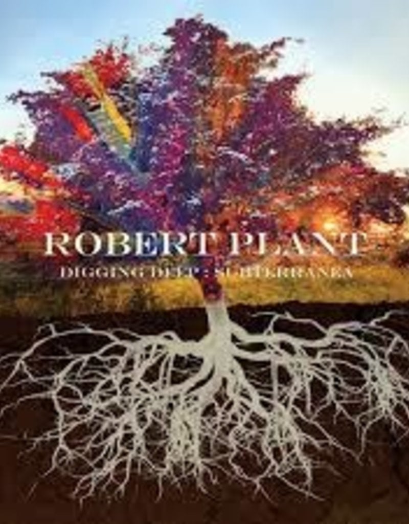 (CD) Robert Plant - Subterranea