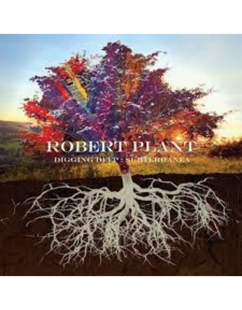 (CD) Robert Plant - Subterranea