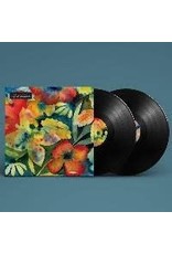 (LP) Adrianne Lenker - Songs And Instrumentals (2LP)