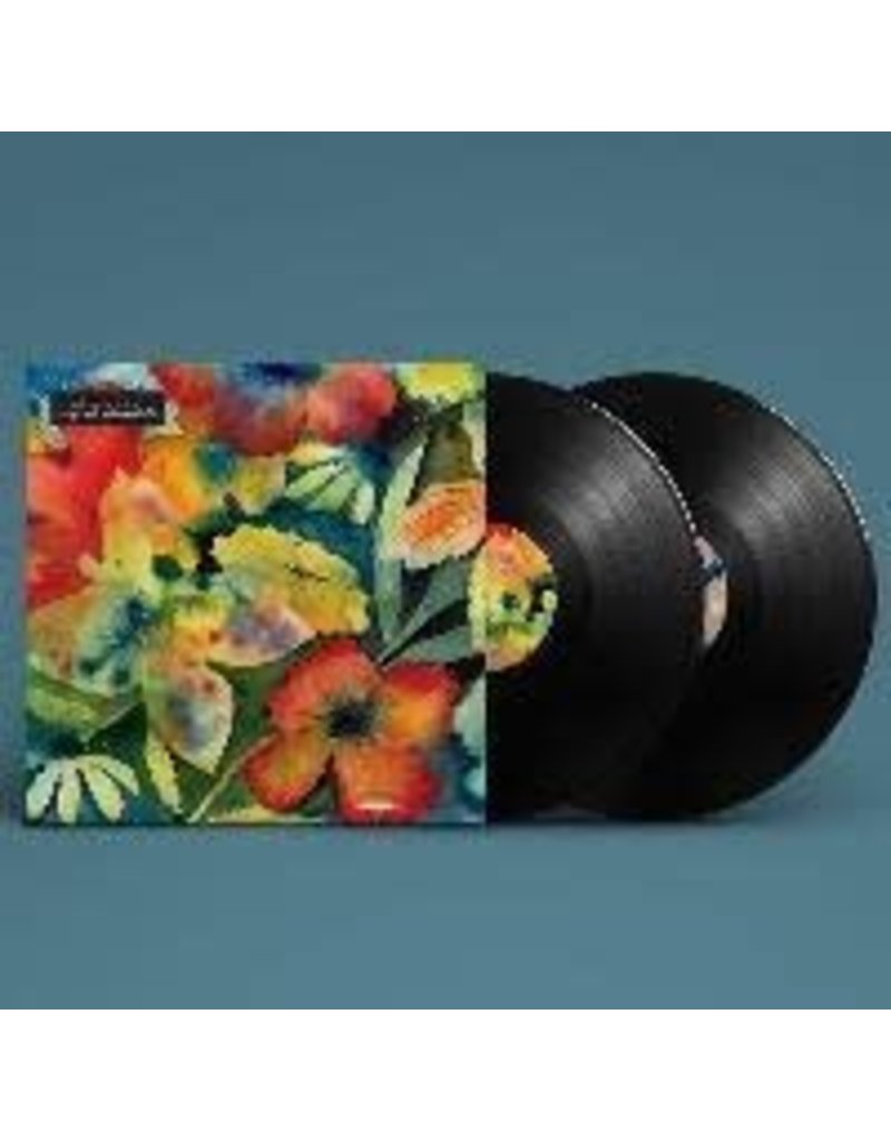 (LP) Adrianne Lenker - Songs And Instrumentals (2LP)