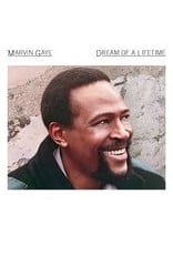 (LP) Marvin Gaye - Dream of A Lifetime