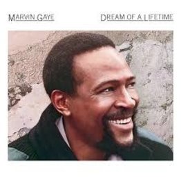 (LP) Marvin Gaye - Dream of A Lifetime