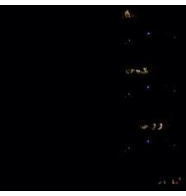 (CD) War On Drugs - LIVE DRUGS