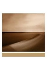 (LP) Brian Eno - Small Craft on A Milk Sea (2020)