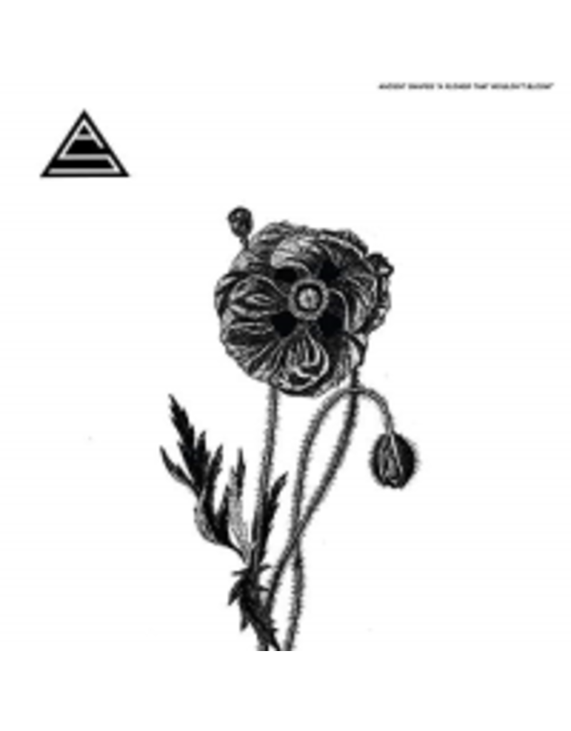 (LP) Ancient Shapes - A Flower That Wouldn't Bloom (Daniel Romano)