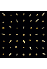 (LP) Clipping - Visions Of Bodies Being Burned (2LP/Standard Black Vinyl)