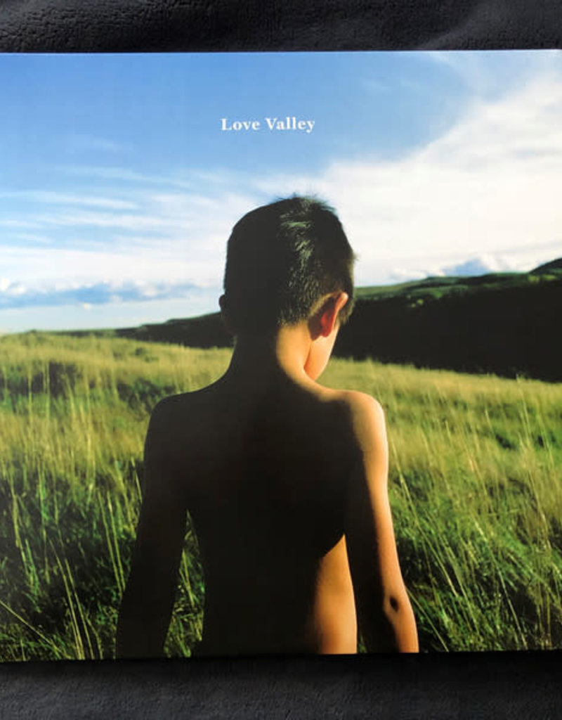 Fontana North (LP) Michael Bernard Fitzgerald - Love Valley