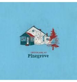 (LP) Pinegrove - Amperland, NY (2LP)