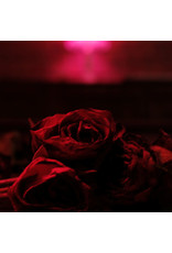 (LP) The Paper Kites - Roses