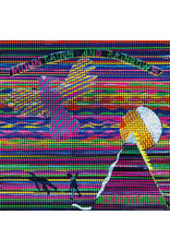 (Used LP) Mountains And Rainbows ‎– Particles