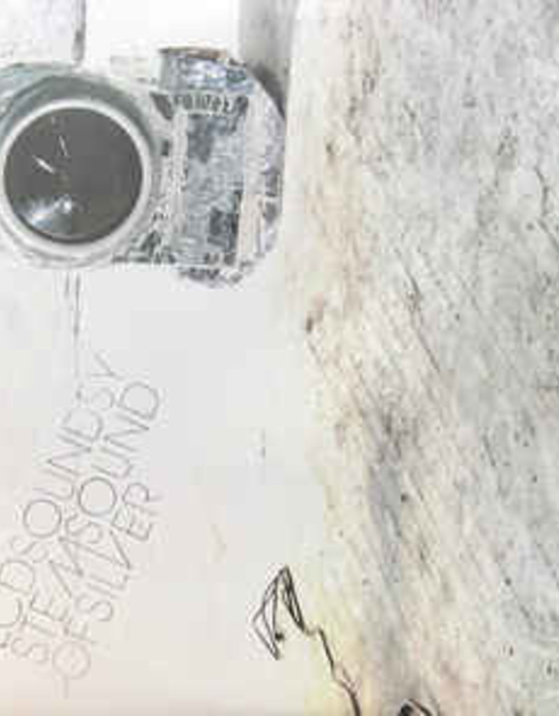 DFA (LP) LCD Soundsystem - Sound Of Silver (2LP)
