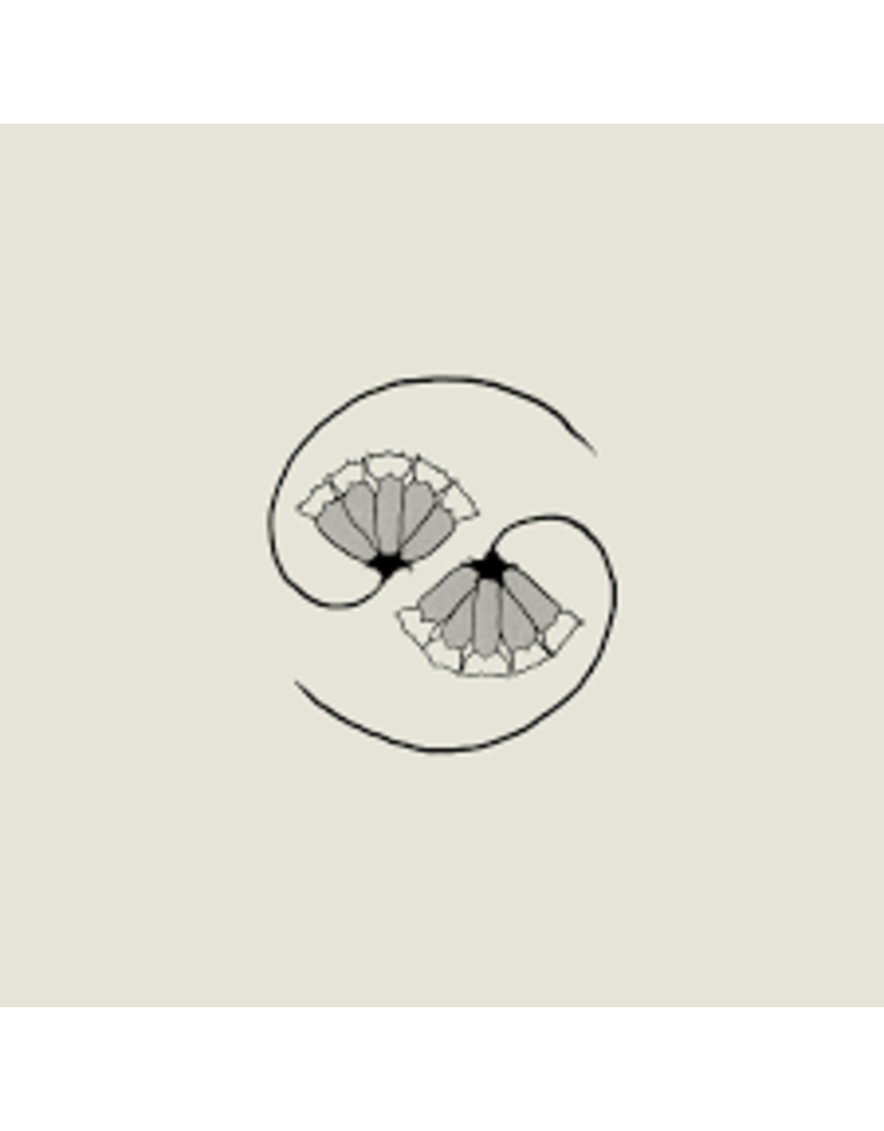 (CD) Godspeed You! Black Emperor - G_d's Pee AT STATE'S END!