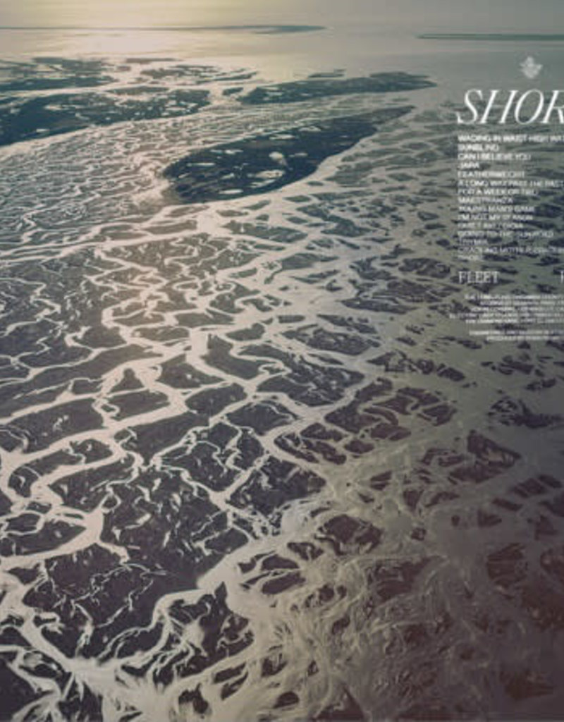 (LP) Fleet Foxes - Shore (2LP) (Black Vinyl)